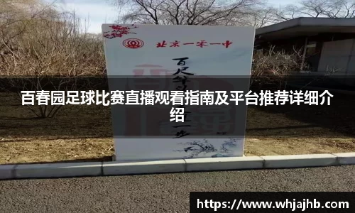 百春园足球比赛直播观看指南及平台推荐详细介绍